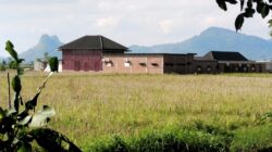 Marak Alih Fungsi Lahan Sawah di Musi Rawas, LAKI P45 Desak Bupati dan Gubernur Bertindak Tegas.