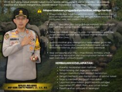 Kapolres Mura Himbau Warga dan Pengendara Waspada Kemunculan Gajah Liar di Muara Lakitan