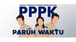 Resmi Berlaku 2026, Gaji PPPK Paruh Waktu Dibayar 12 Bulan