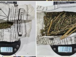 Tim Satres Narkoba Polres Lubuk Linggau Berhasil Mengamankan Seorang Pemuda Membawa Narkotika Jenis Ganja