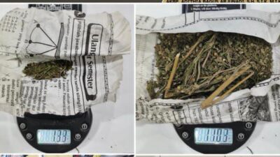 Tim Satres Narkoba Polres Lubuk Linggau Berhasil Mengamankan Seorang Pemuda Membawa Narkotika Jenis Ganja
